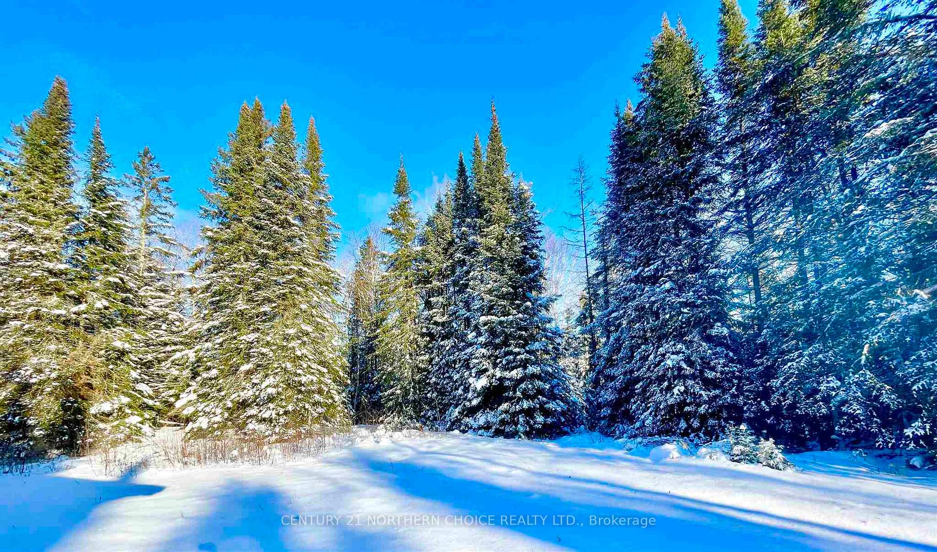 Photo 21 of 61 Shelley Lane, Dryden, Thunder Lake — HOMEH