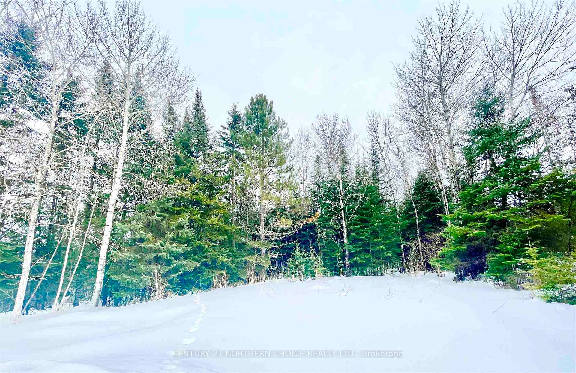 Photo 24 of 61 Shelley Lane, Dryden, Thunder Lake — HOMEH
