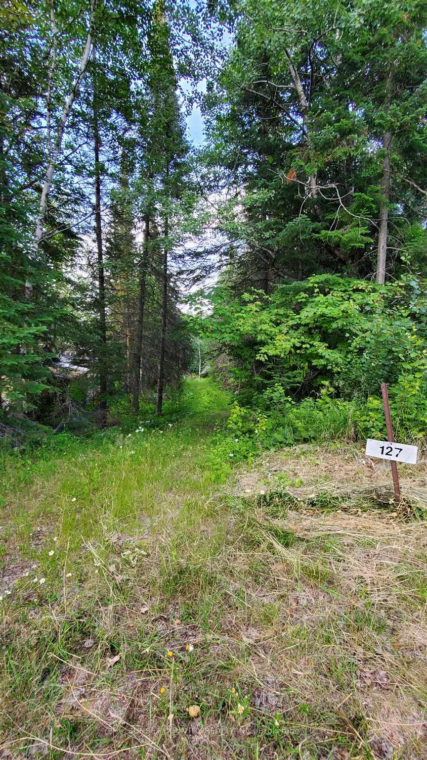 Photo 5 of 127 Harris Crescent, Dryden, Thunder Lake — HOMEH