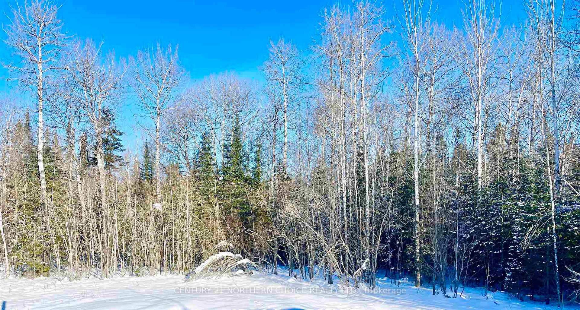 Front of 351 Thunder Lake Road