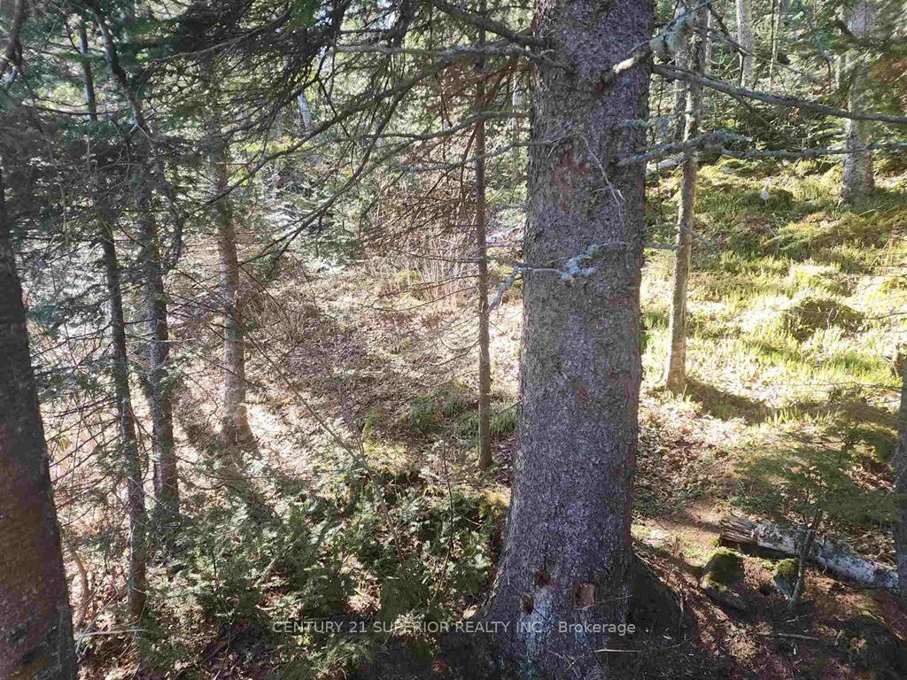Photo 24 of 406 Cedar Lane, Thunder Bay Remote Area — HOMEH