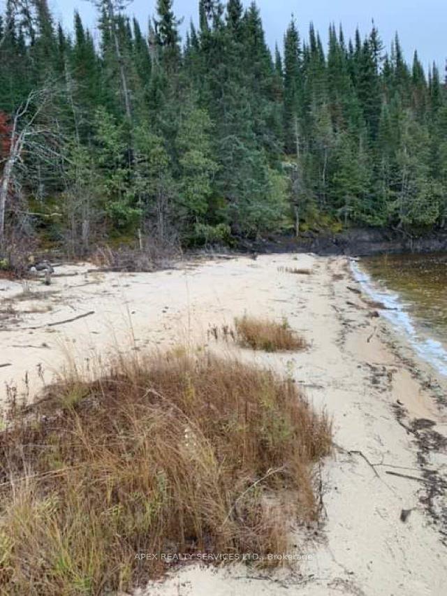 Photo 3 of Parcel 26057 Little Turtle Lake, Rainy River Remote Area — HOMEH