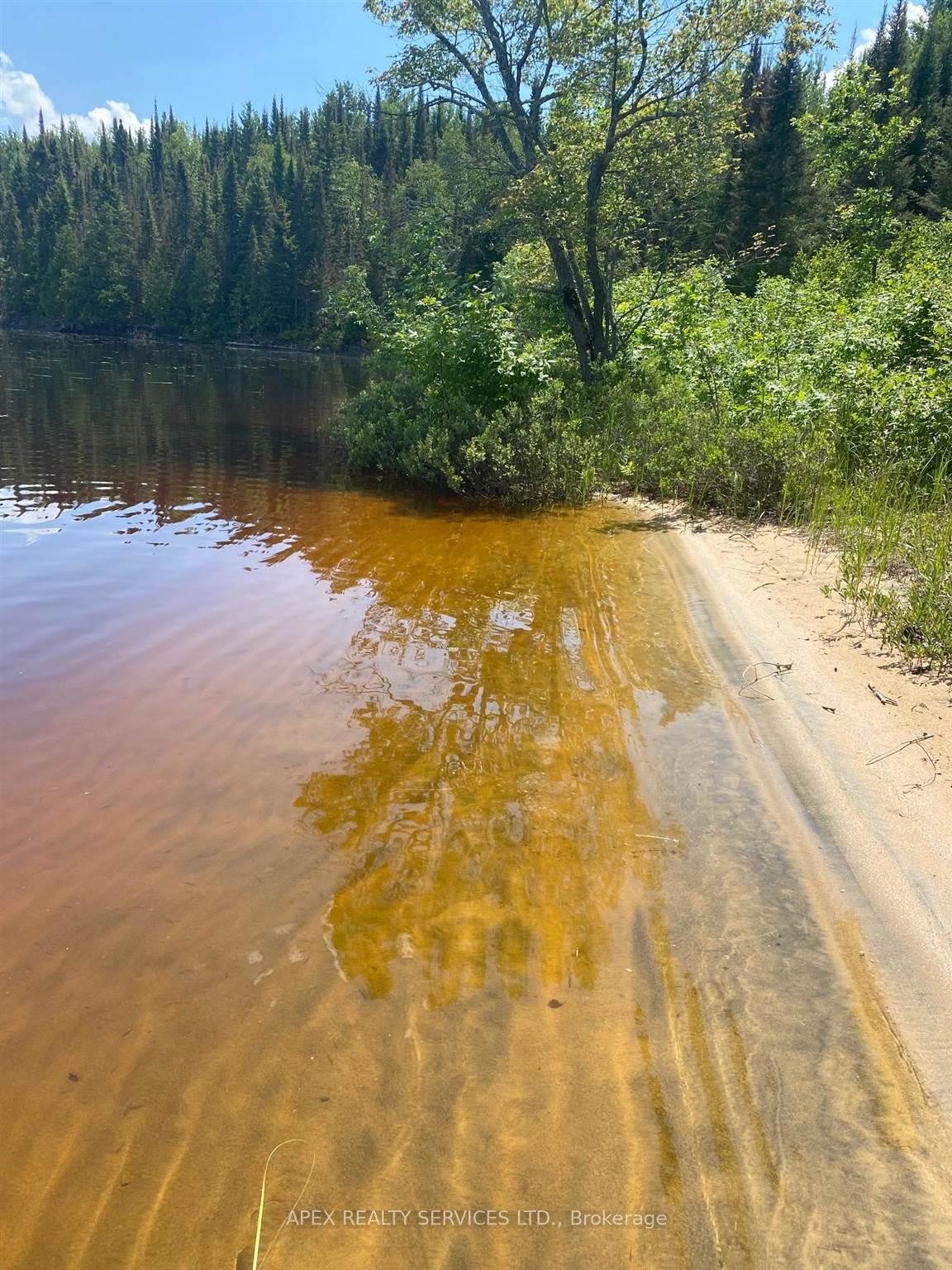 Photo 4 of Parcel 26057 Little Turtle Lake, Rainy River Remote Area — HOMEH