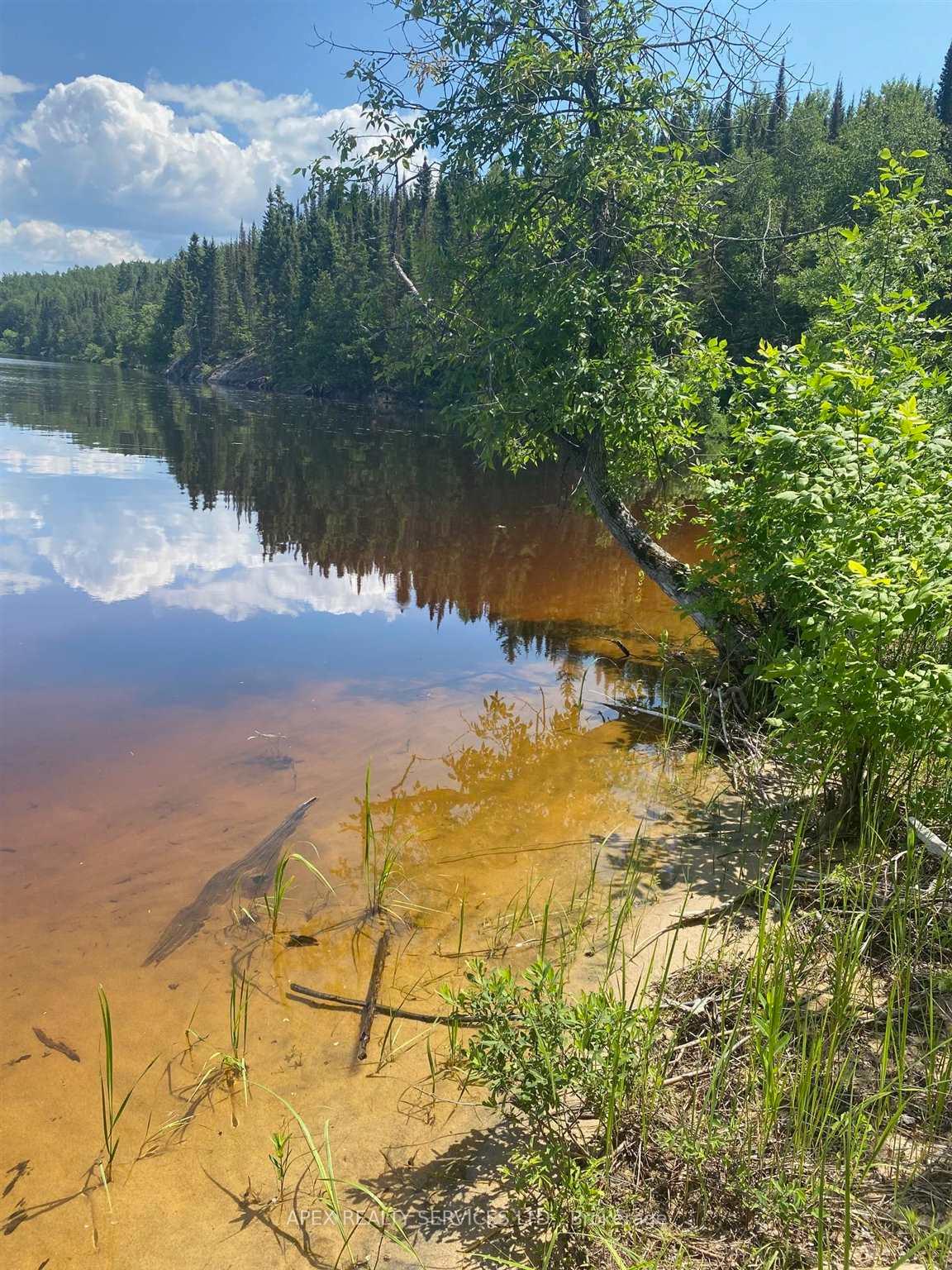 Photo 6 of Parcel 26057 Little Turtle Lake, Rainy River Remote Area — HOMEH