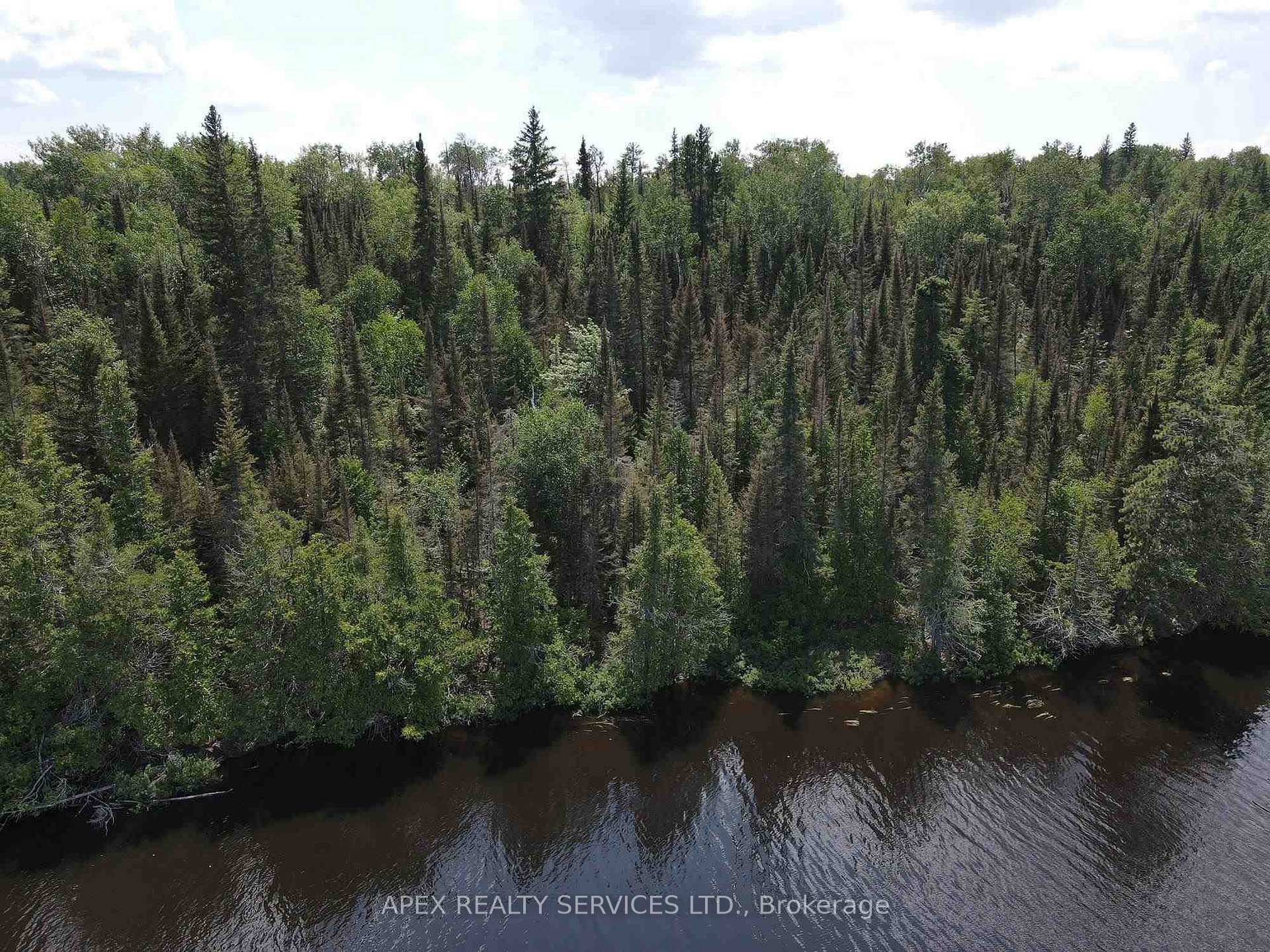 Photo 16 of Parcel 26057 Little Turtle Lake, Rainy River Remote Area — HOMEH
