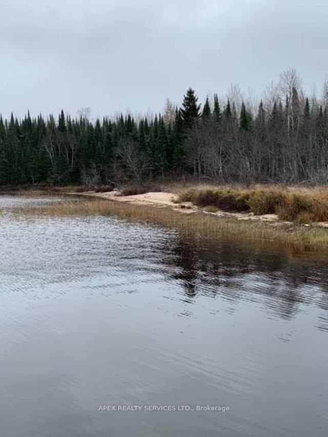 Photo 17 of Parcel 26057 Little Turtle Lake, Rainy River Remote Area — HOMEH