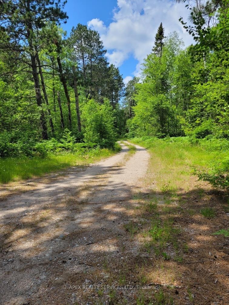 Photo 18 of Parcel 26057 Little Turtle Lake, Rainy River Remote Area — HOMEH