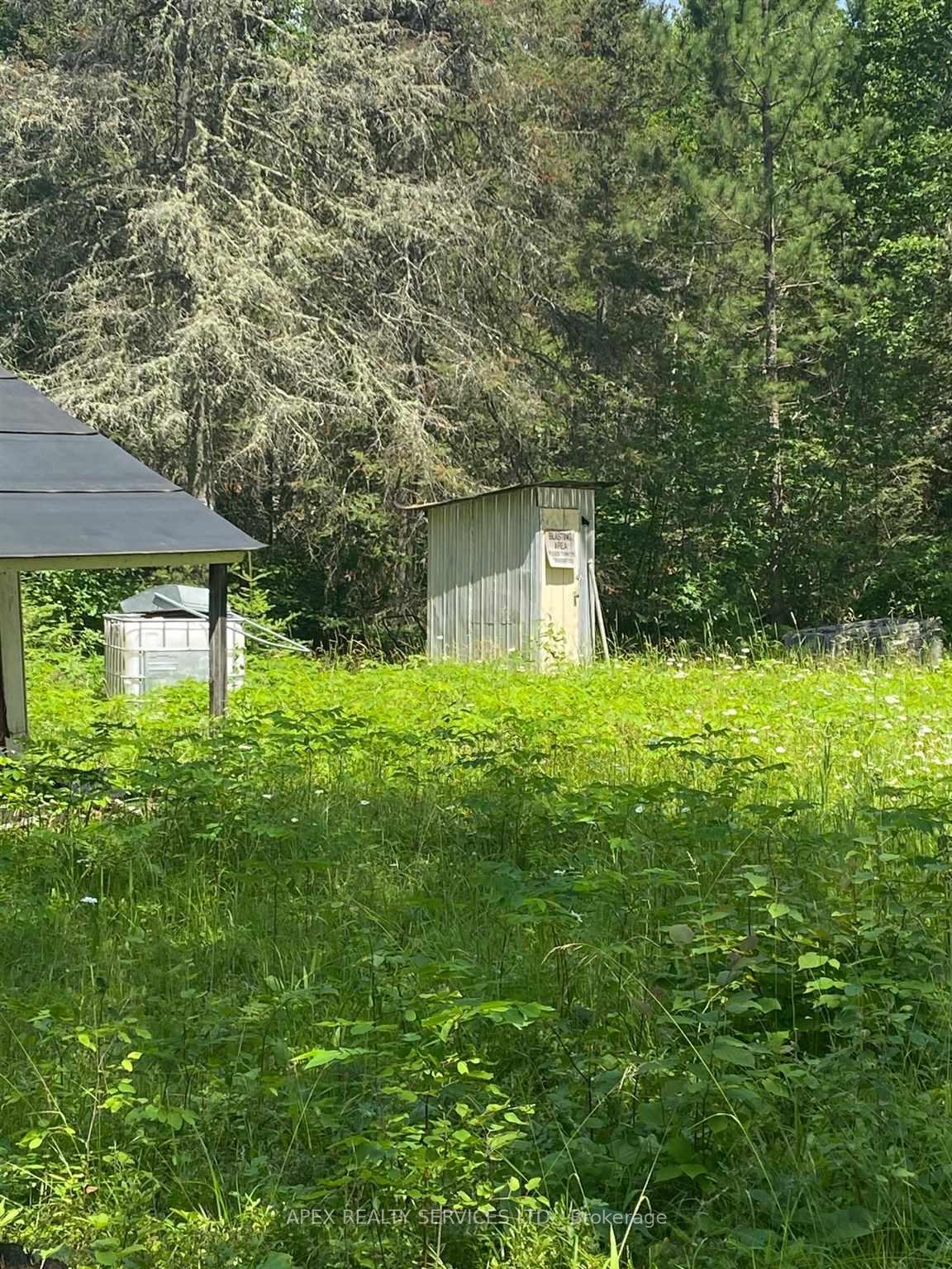Photo 22 of Parcel 26057 Little Turtle Lake, Rainy River Remote Area — HOMEH