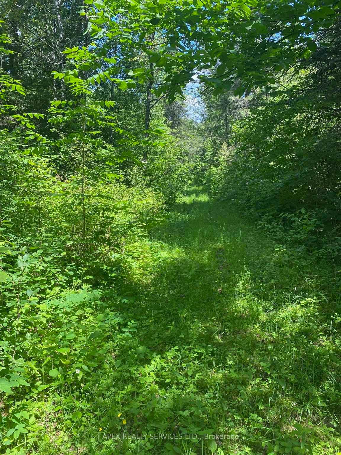 Photo 25 of Parcel 26057 Little Turtle Lake, Rainy River Remote Area — HOMEH
