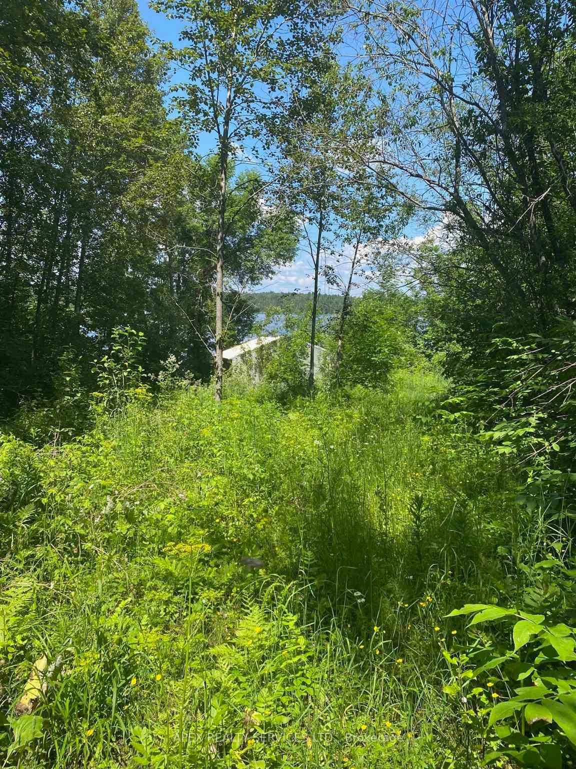 Photo 26 of Parcel 26057 Little Turtle Lake, Rainy River Remote Area — HOMEH