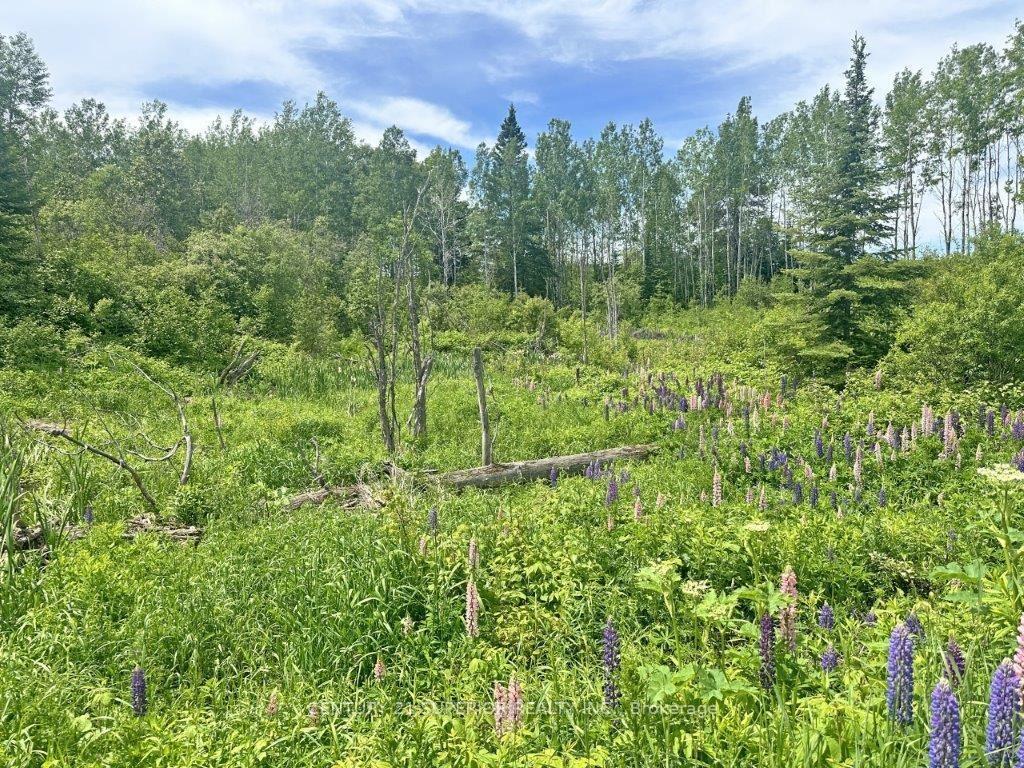 Photo 17 of Part 4 Larson Road, Neebing, Crooks — HOMEH