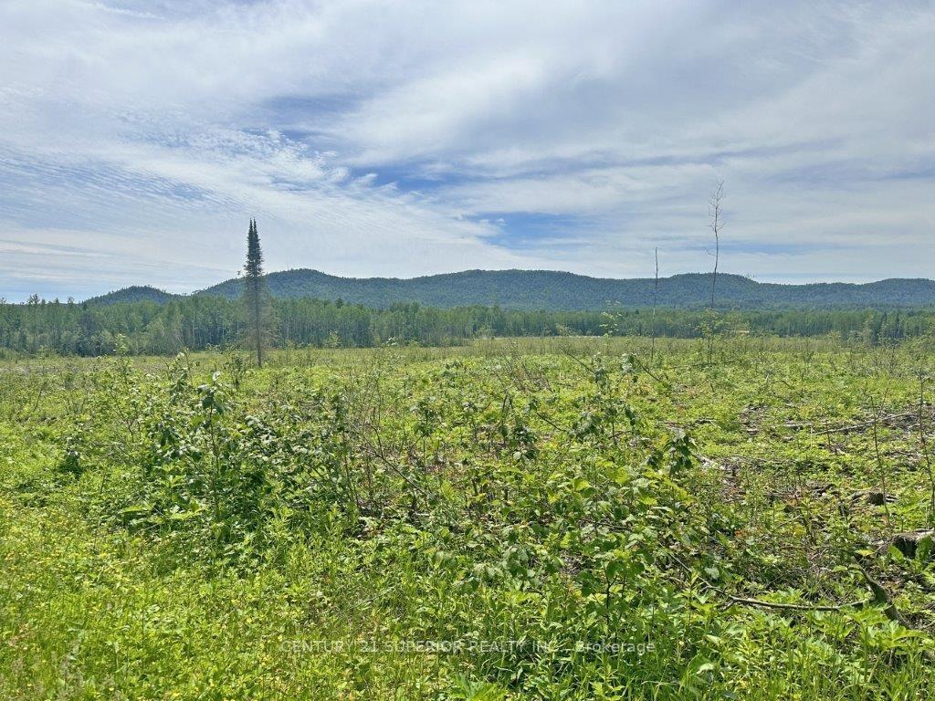Photo 18 of Part 4 Larson Road, Neebing, Crooks — HOMEH