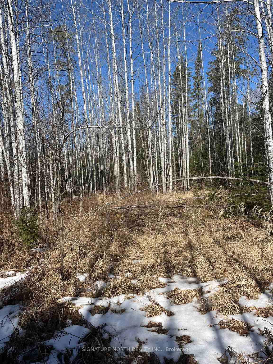 Photo 1 of CON 8 S PT LT 7 Walker Rd S, Neebing, Blake — HOMEH