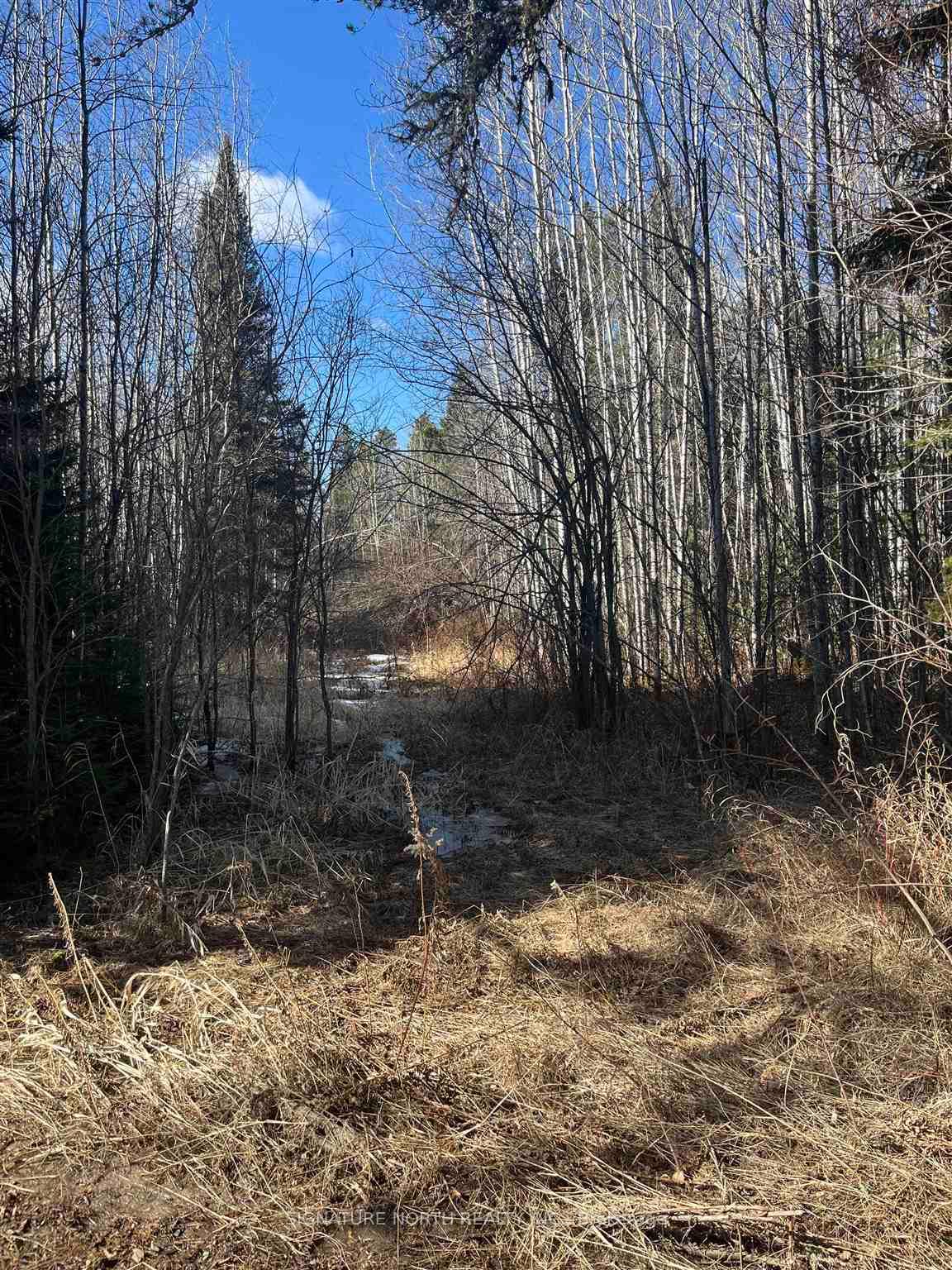 Photo 2 of CON 8 S PT LT 7 Walker Rd S, Neebing, Blake — HOMEH