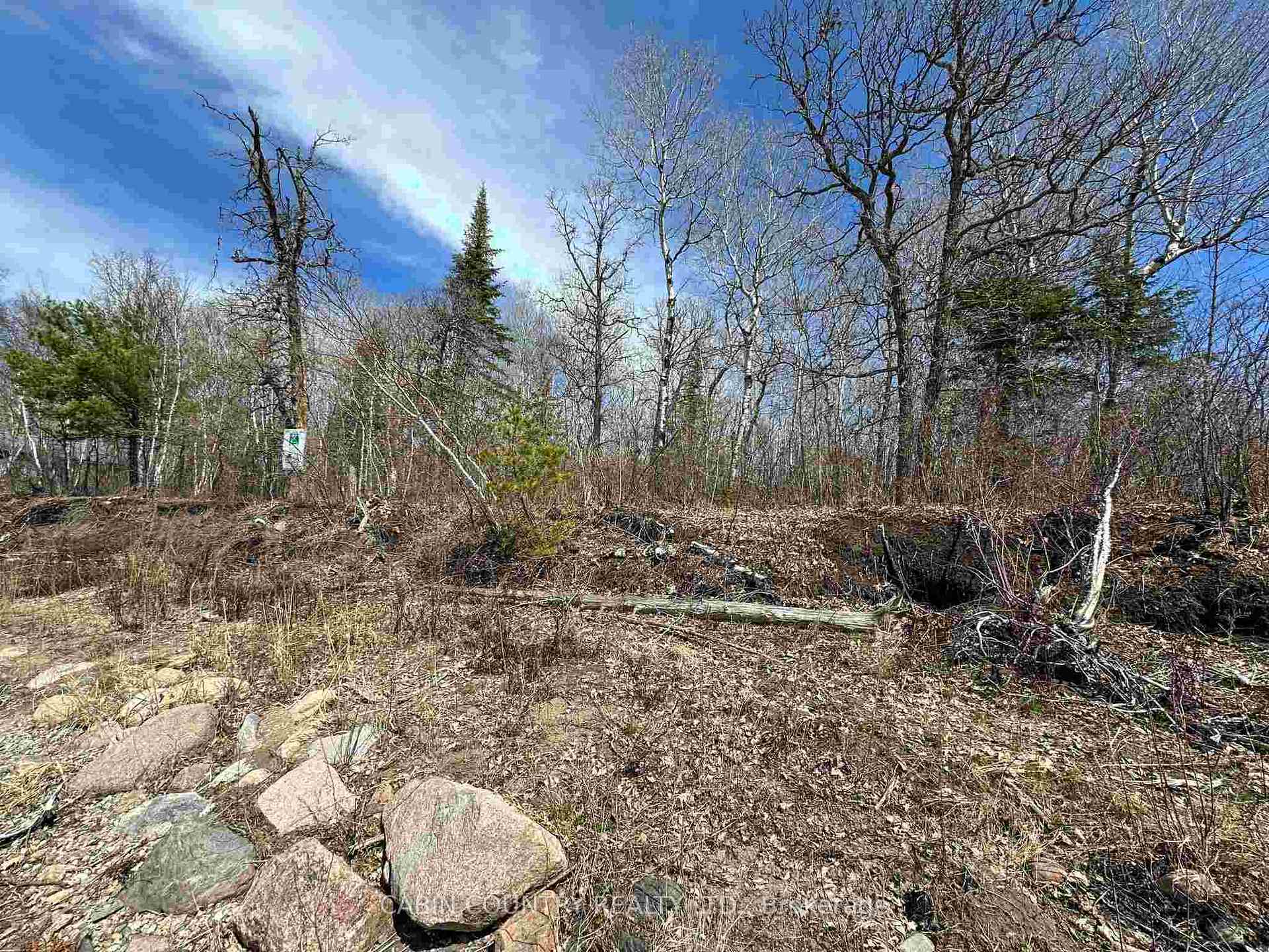 Photo 10 of Lot 4 Corkscrew Island, Kenora, Downtown — HOMEH