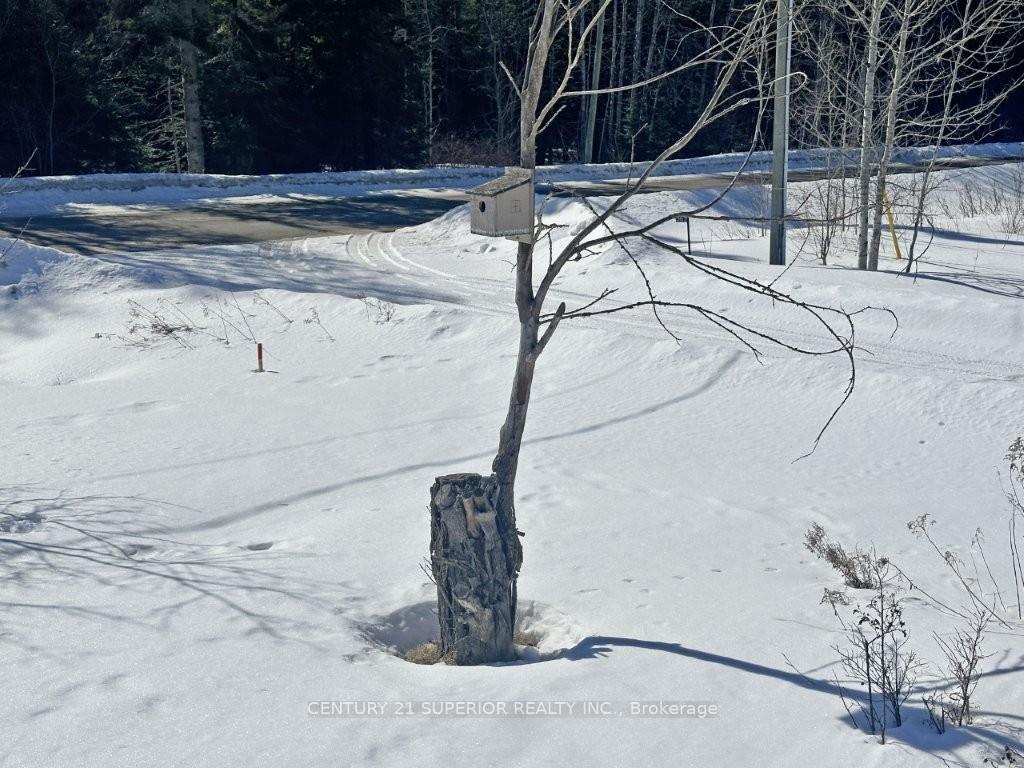 Photo 5 of 377 Hwy 582, Thunder Bay Remote Area — HOMEH