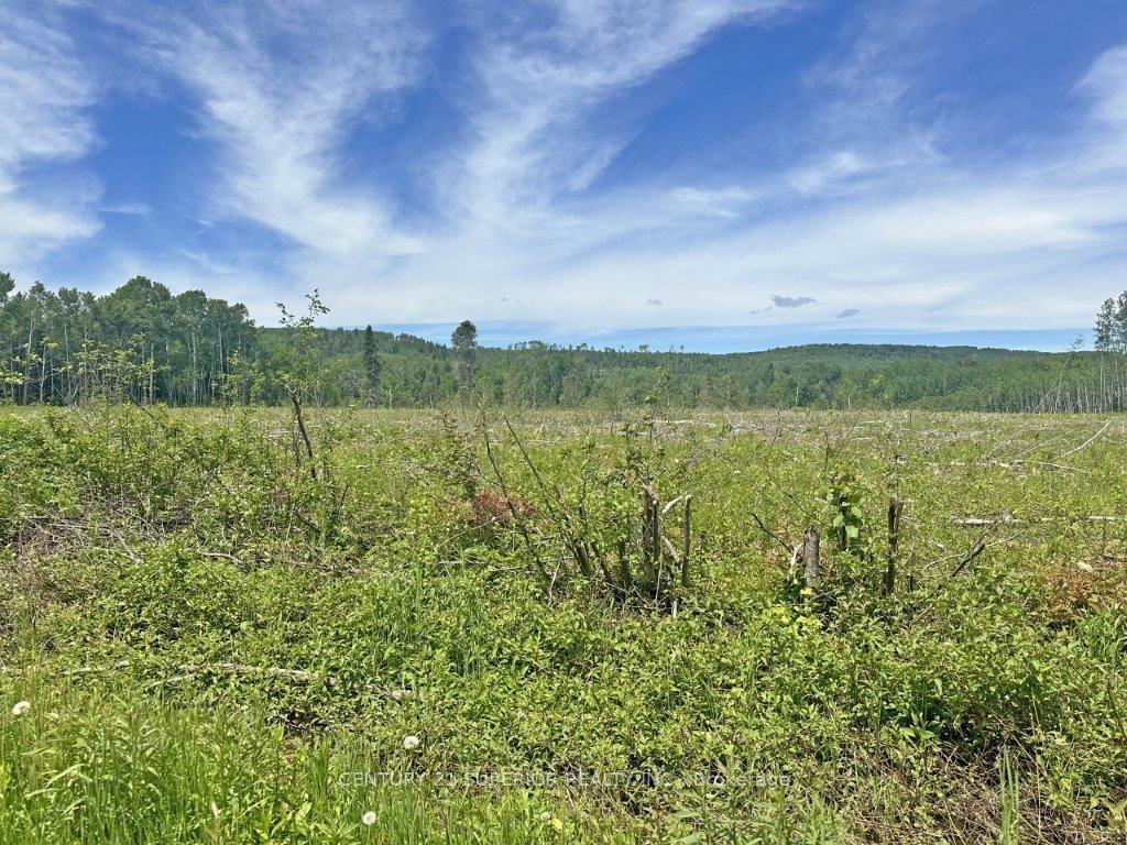Photo 1 of Part 1 Larson Road, Neebing, Crooks — HOMEH