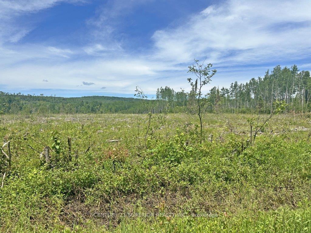Photo 15 of Part 1 Larson Road, Neebing, Crooks — HOMEH