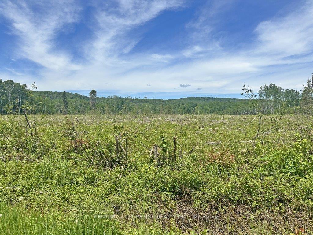 Photo 16 of Part 1 Larson Road, Neebing, Crooks — HOMEH