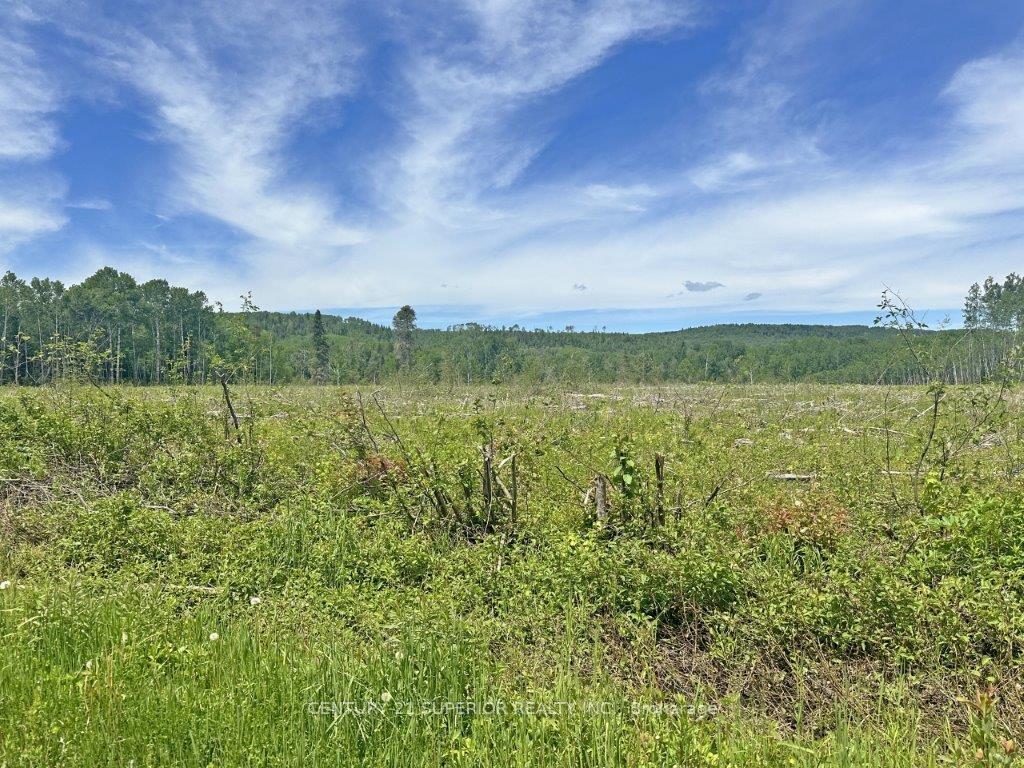 Photo 17 of Part 1 Larson Road, Neebing, Crooks — HOMEH