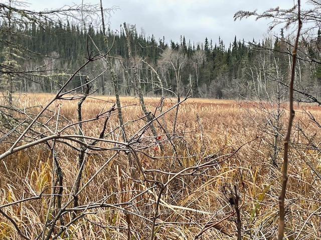 Photo 2 of Parcel 7576, Kenora Remote Area — HOMEH