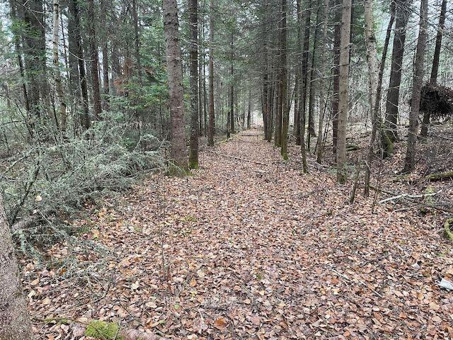 Photo 5 of Parcel 7576, Kenora Remote Area — HOMEH