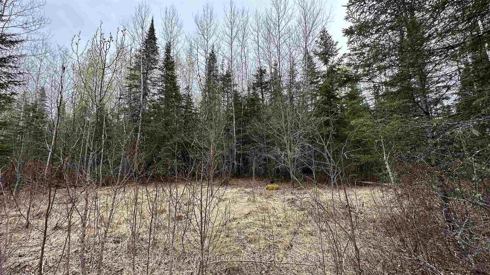 Photo 8 of Part 3 823 Coker Road, Kenora, Kenora Northeast — HOMEH
