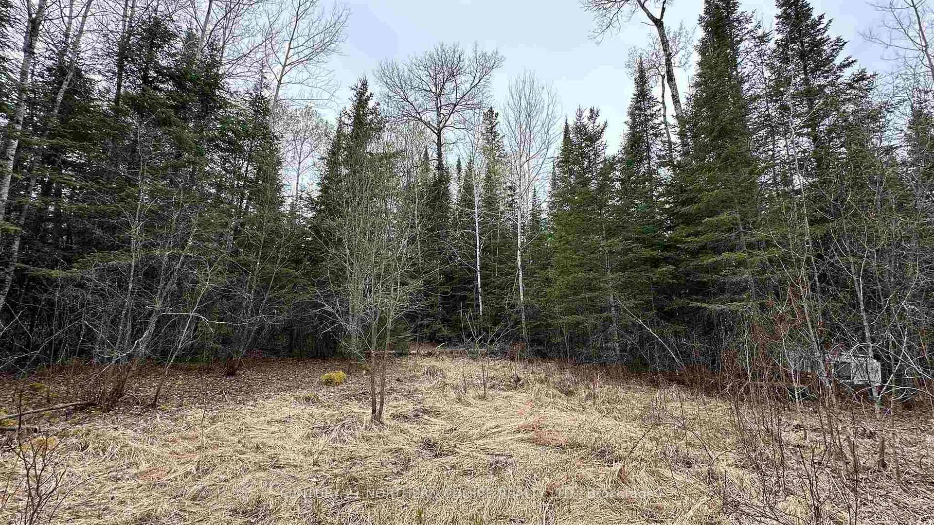 Photo 9 of Part 3 823 Coker Road, Kenora, Kenora Northeast — HOMEH