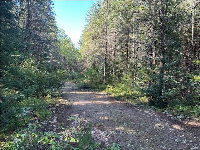 Front of 148 Acres Parcel 6699