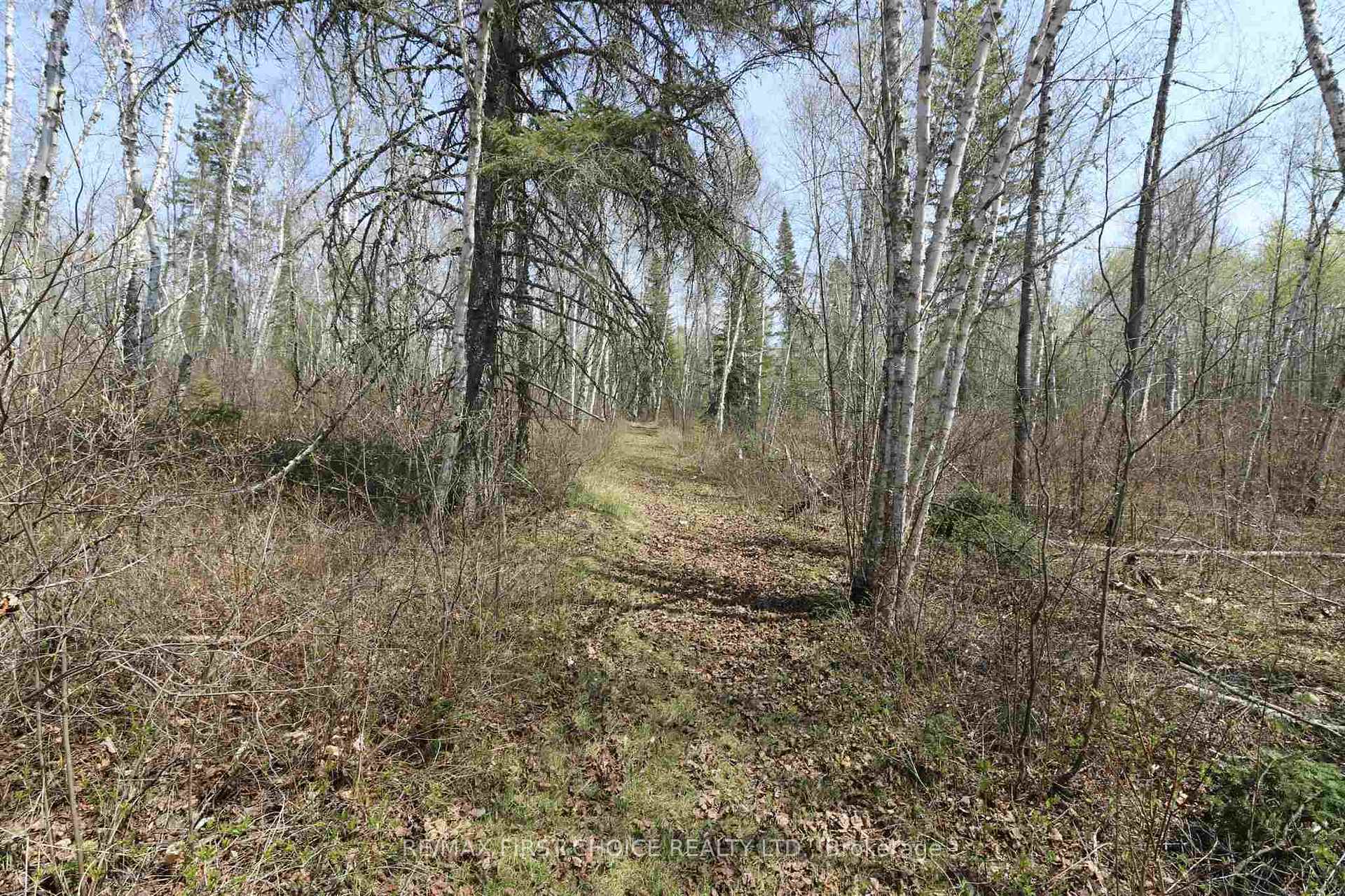 Photo 47 of S756 Corkscrew Island, Kenora Remote Area, Lake of the Woods West — HOMEH