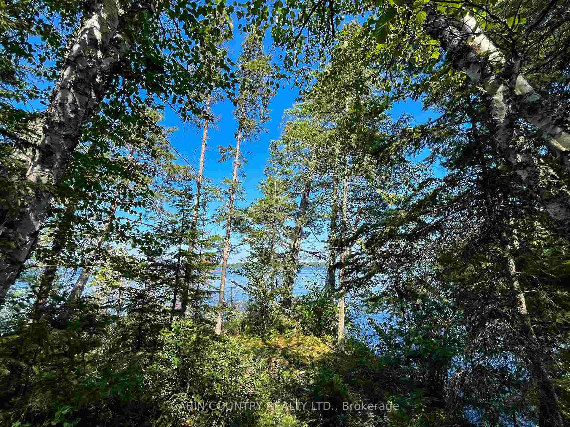 Photo 14 of 9 Hay Island, Kenora Remote Area, Lake of the Woods North — HOMEH