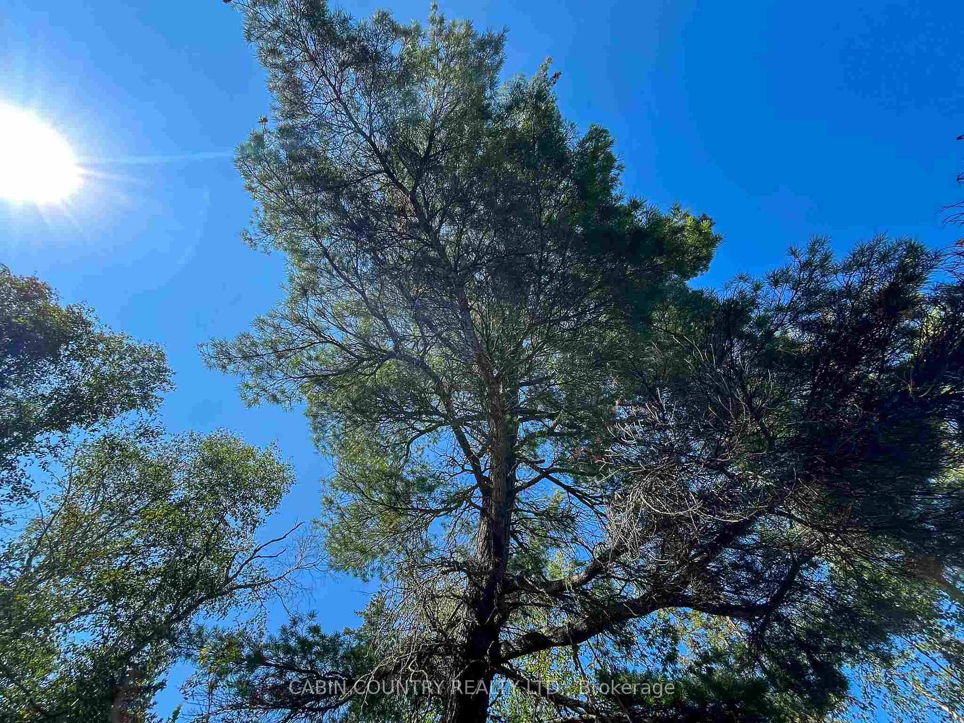 Photo 16 of 9 Hay Island, Kenora Remote Area, Lake of the Woods North — HOMEH