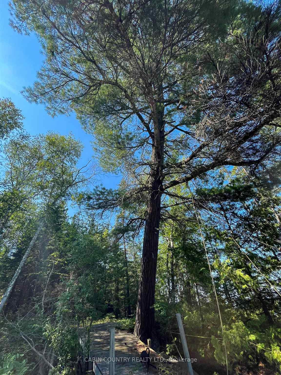 Photo 17 of 9 Hay Island, Kenora Remote Area, Lake of the Woods North — HOMEH