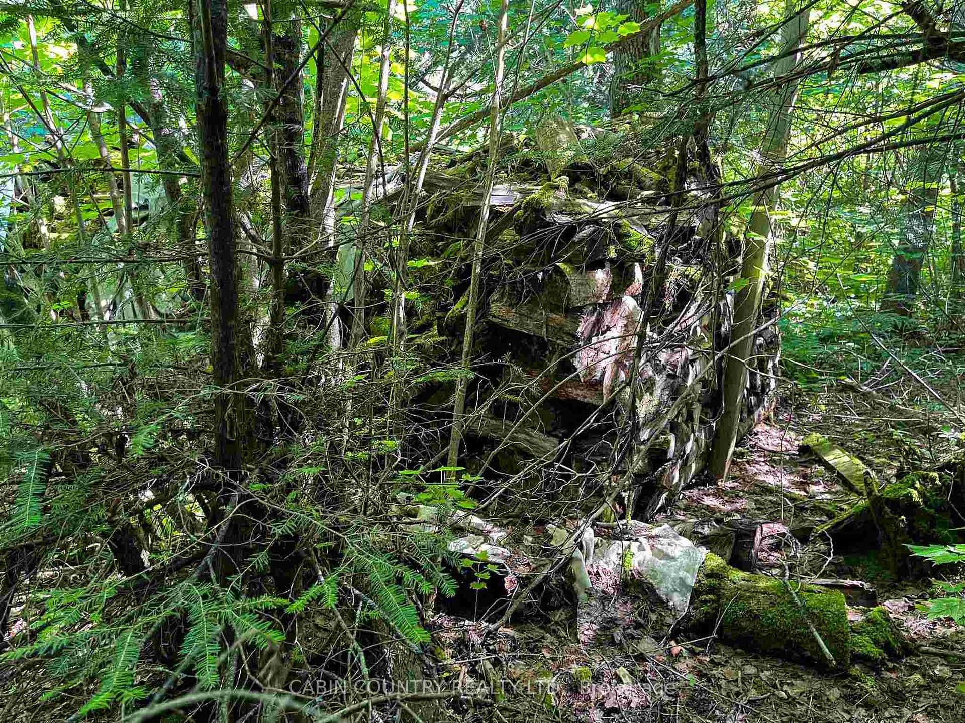 Photo 26 of 9 Hay Island, Kenora Remote Area, Lake of the Woods North — HOMEH