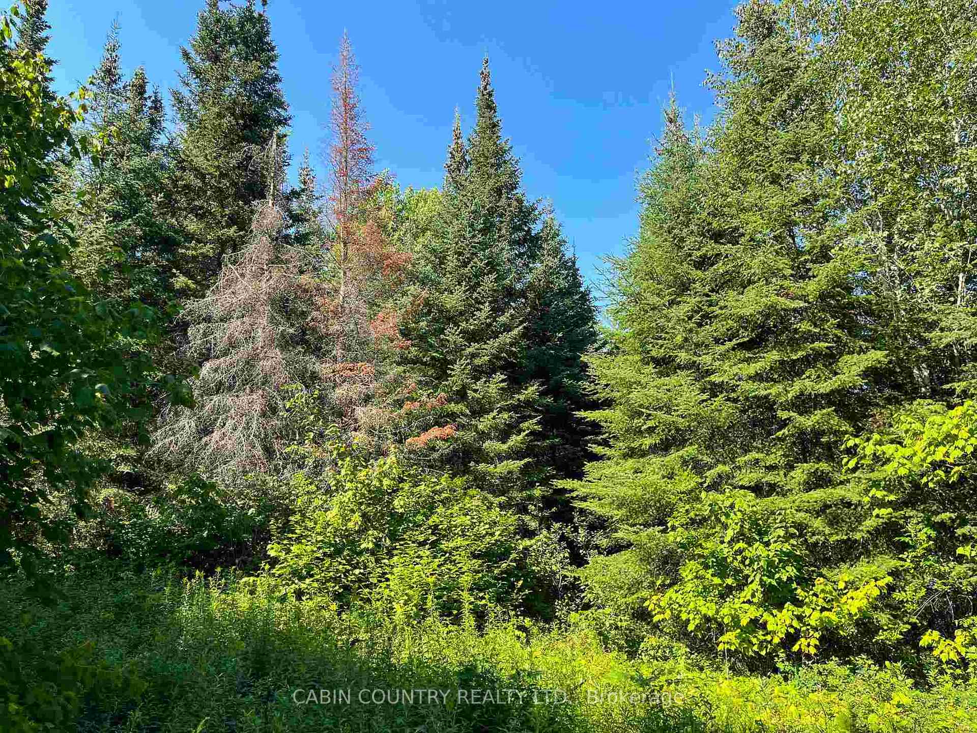 Photo 27 of 9 Hay Island, Kenora Remote Area, Lake of the Woods North — HOMEH
