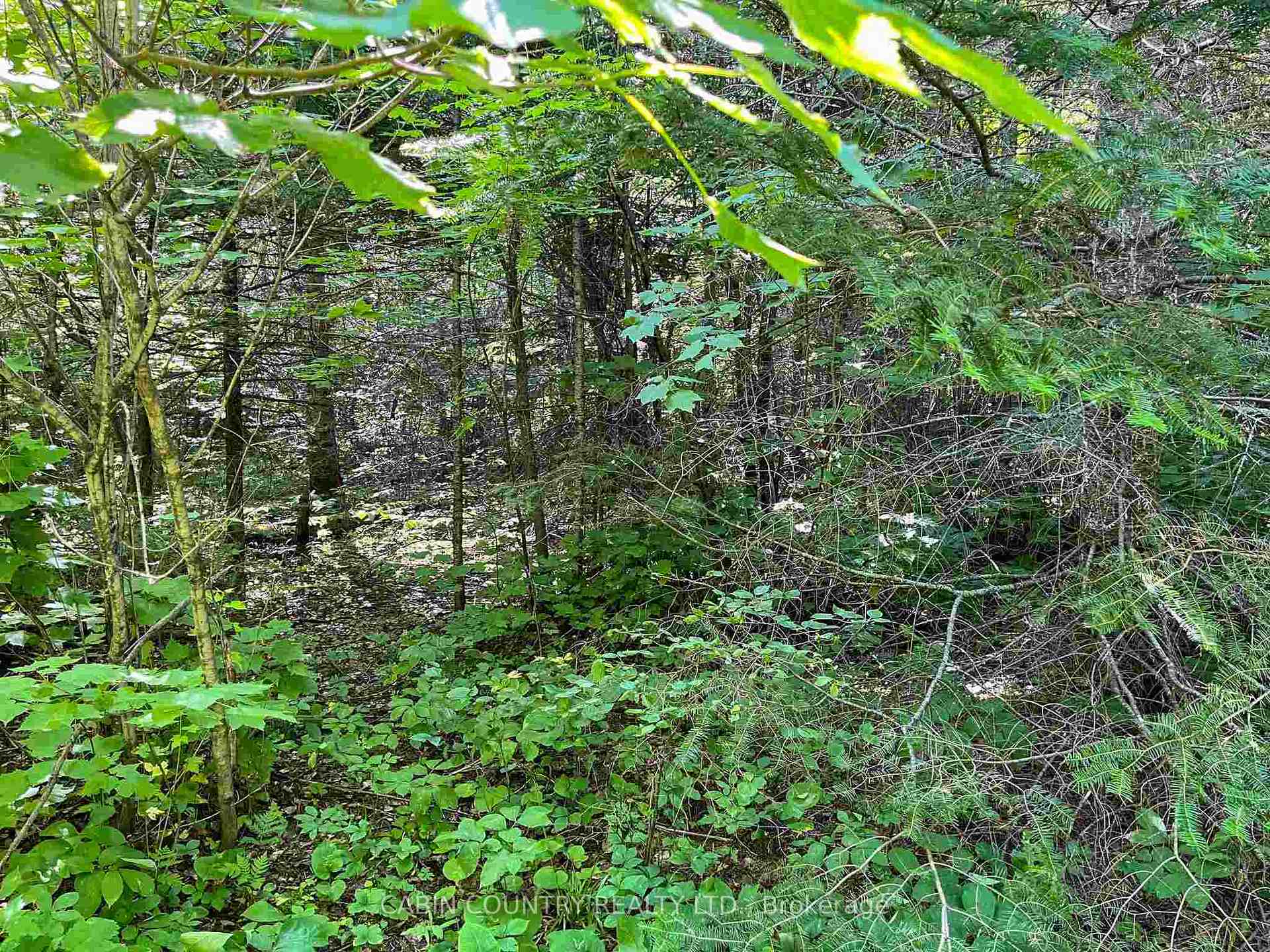 Photo 28 of 9 Hay Island, Kenora Remote Area, Lake of the Woods North — HOMEH