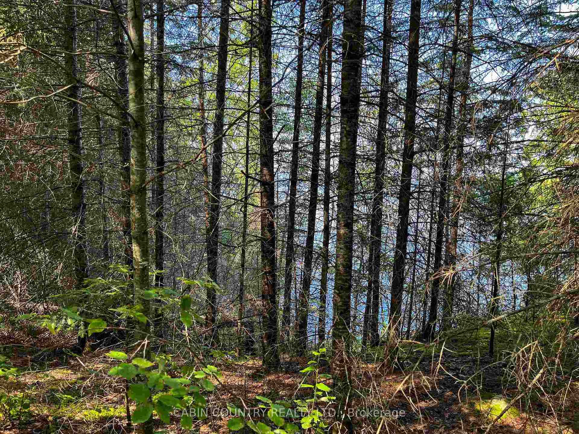 Photo 29 of 9 Hay Island, Kenora Remote Area, Lake of the Woods North — HOMEH