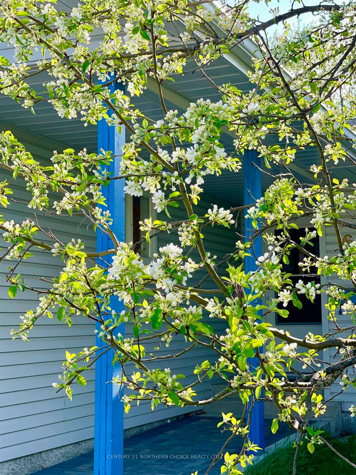Photo 6 of 6 Lila Place, Dryden, Hillcrest — HOMEH