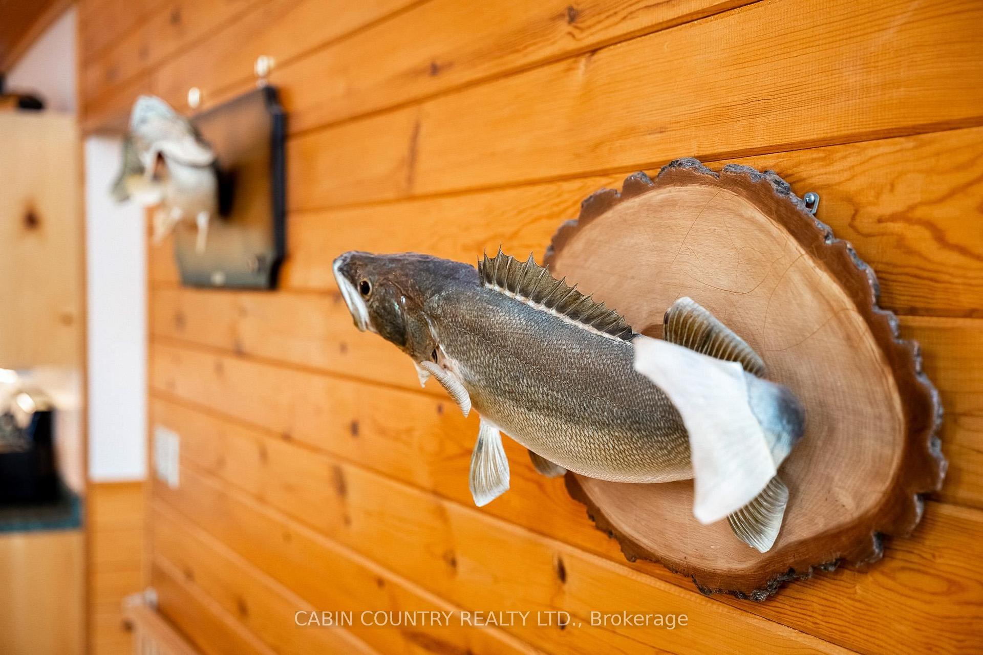 Photo 8 of 59 Poplar Bay, First Nations — HOMEH