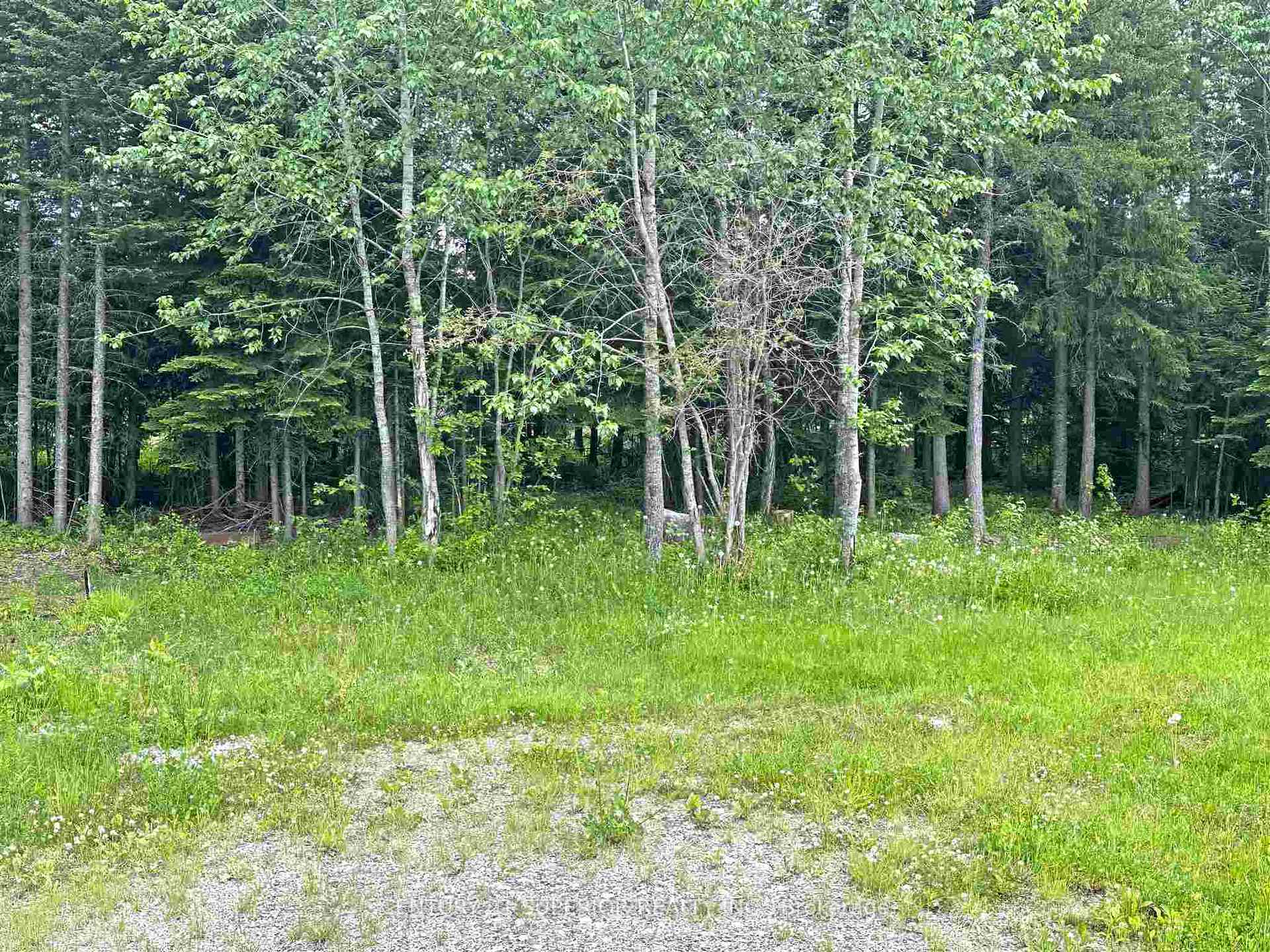 Photo 41 of 406 Mackie Drive, Greenstone — HOMEH