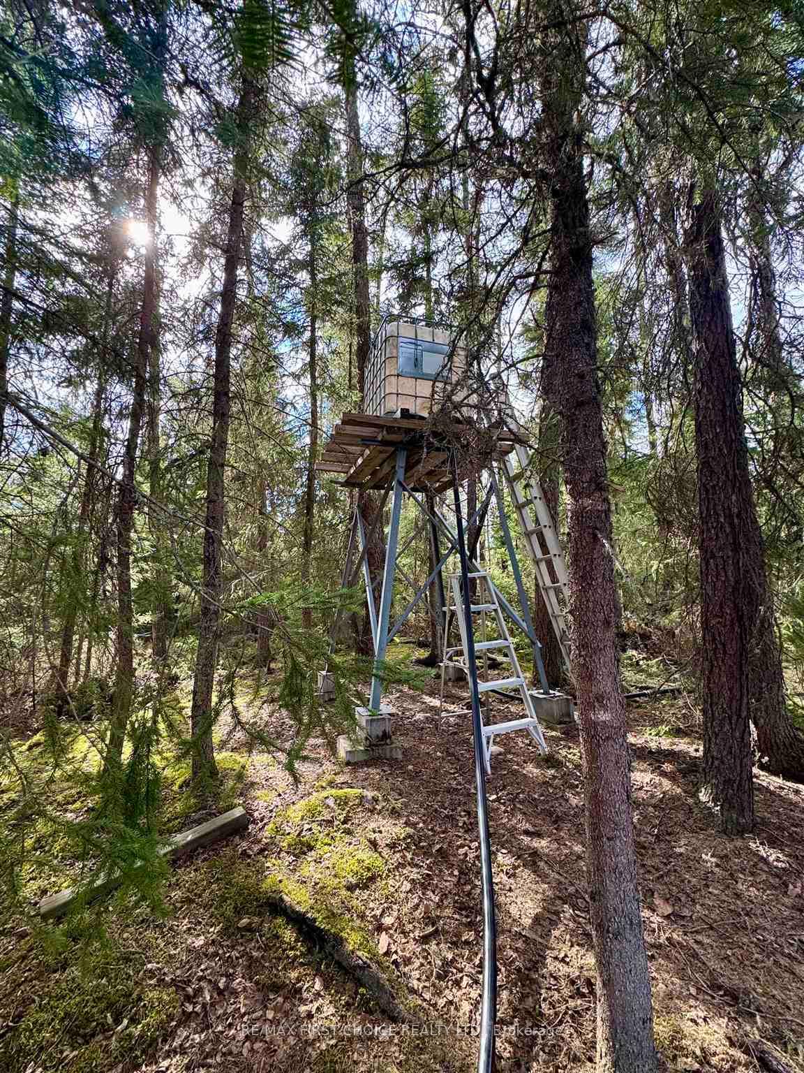 Photo 20 of Lot 12 Coli, Red Lake — HOMEH