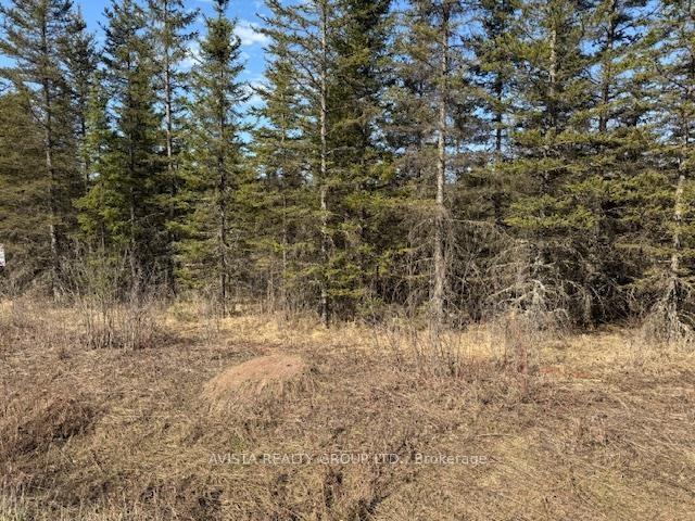Photo 1 of Part 6 Lot 12 Salo Rd, Neebing, Pearson — HOMEH