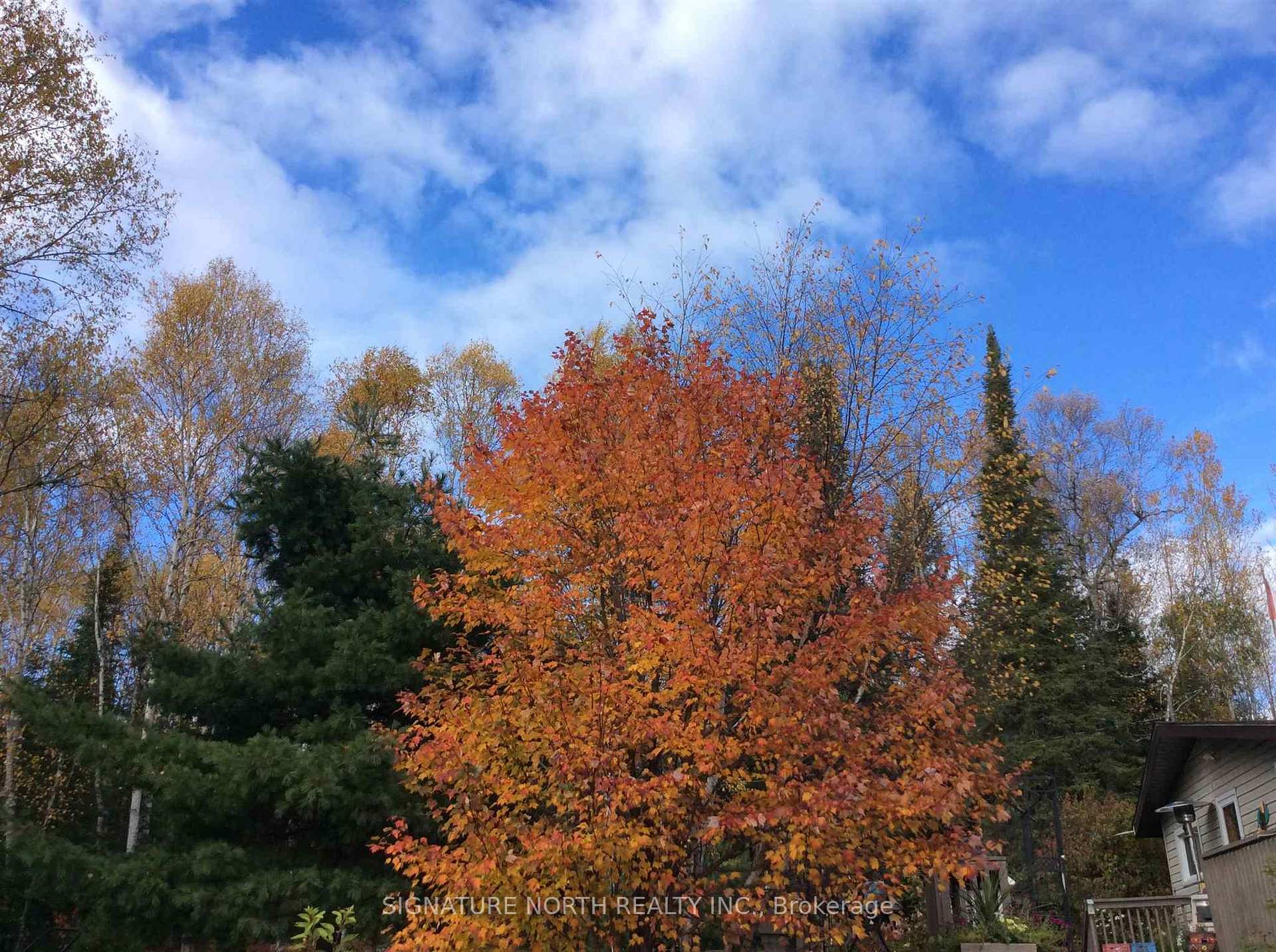 Photo 46 of 129 Hwy 586, Thunder Bay Remote Area — HOMEH