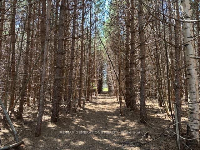 Photo 46 of 111 Maple Drive, Dorion — HOMEH