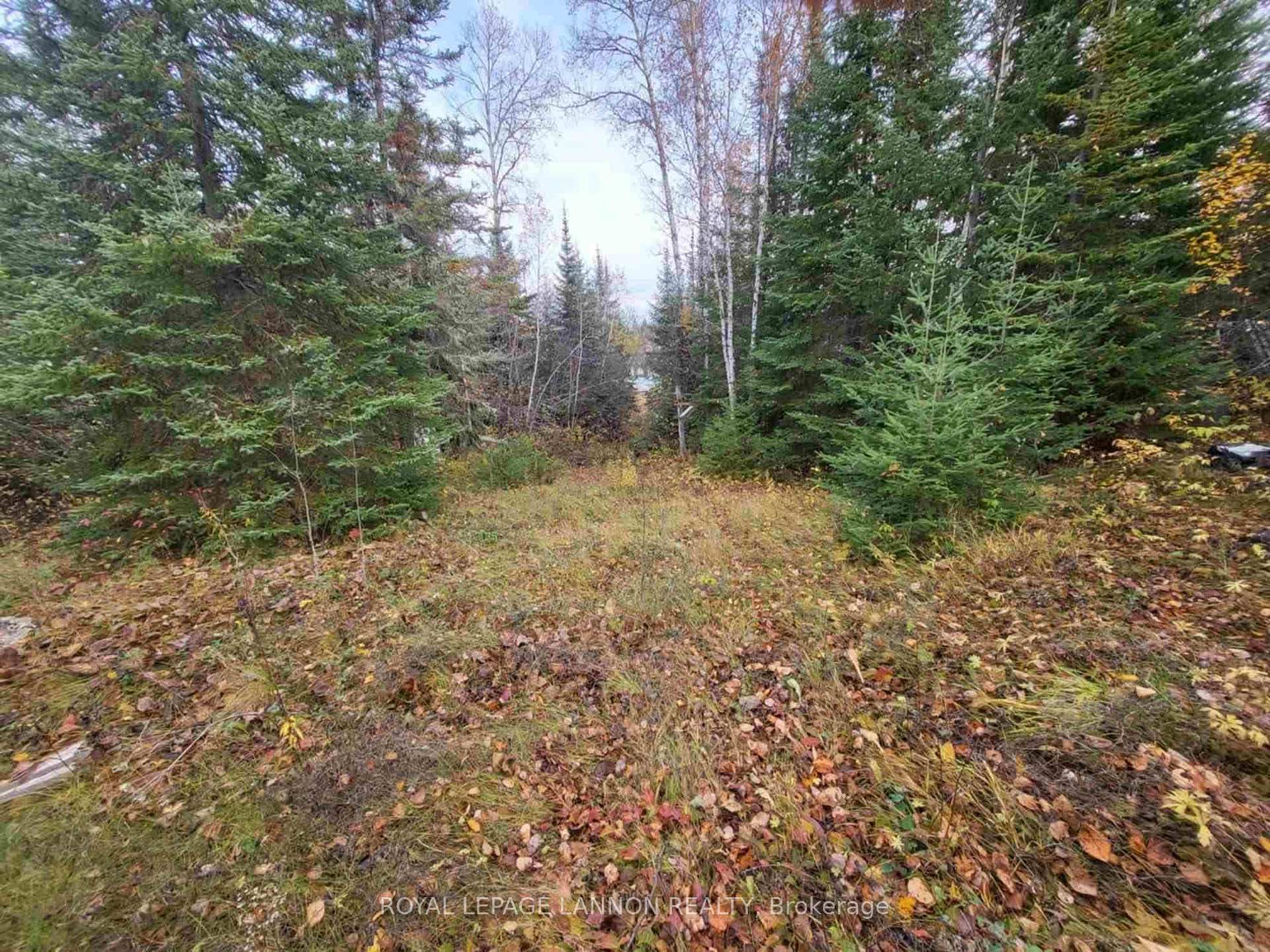 Photo 13 of Polly Lake, Thunder Bay Remote Area — HOMEH