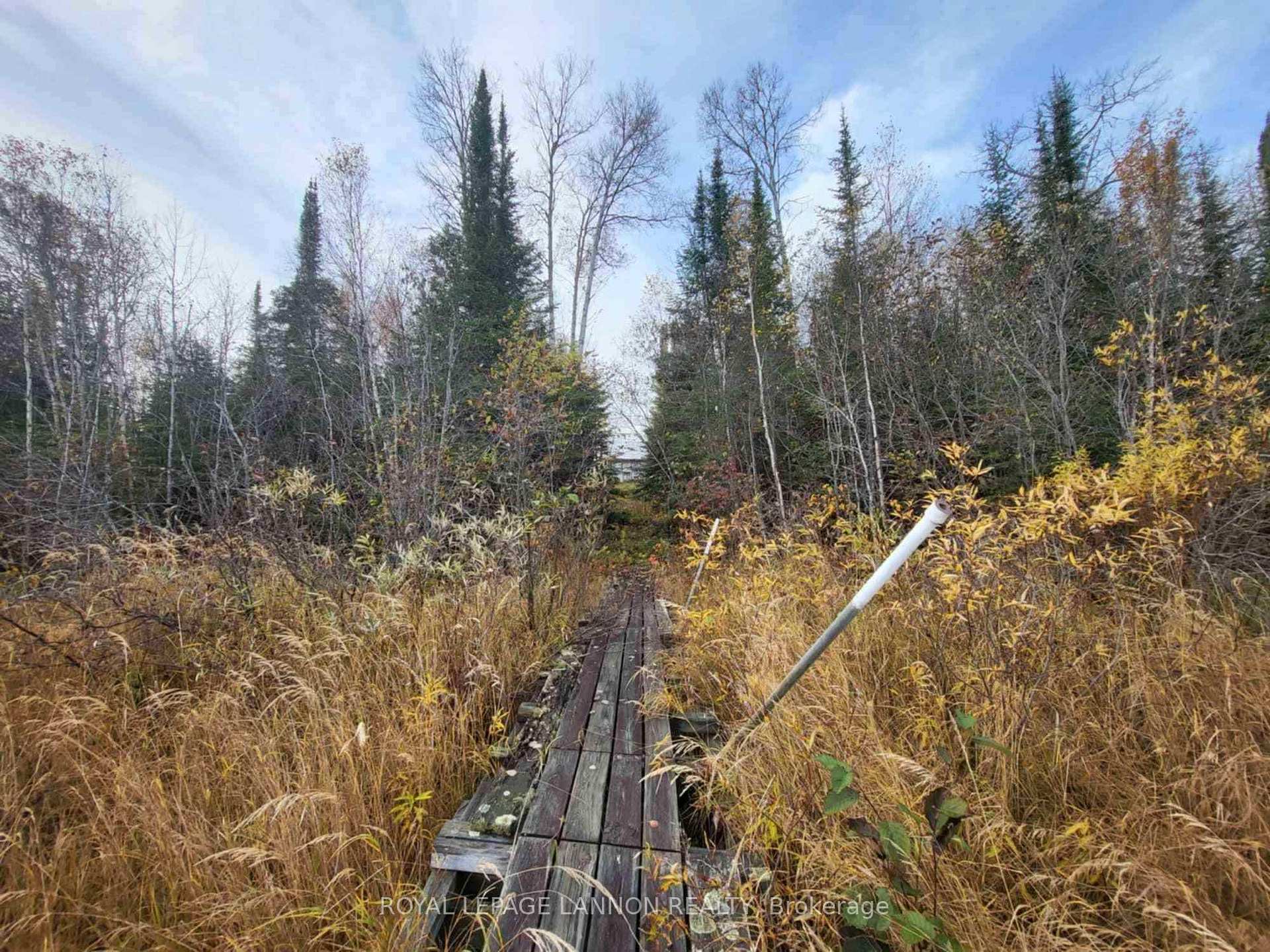 Photo 19 of Polly Lake, Thunder Bay Remote Area — HOMEH