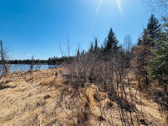 Photo 2 of Hilly Lake Rd, Kenora, Kenora East — HOMEH