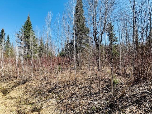 Photo 3 of Hilly Lake Rd, Kenora, Kenora East — HOMEH