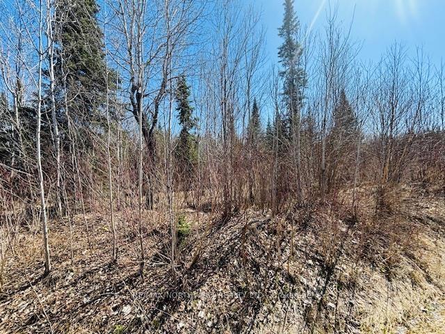 Photo 5 of Hilly Lake Rd, Kenora, Kenora East — HOMEH
