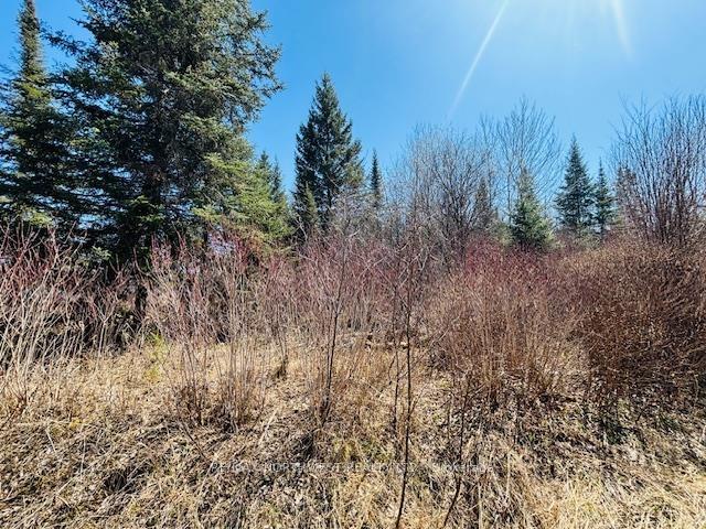 Photo 6 of Hilly Lake Rd, Kenora, Kenora East — HOMEH